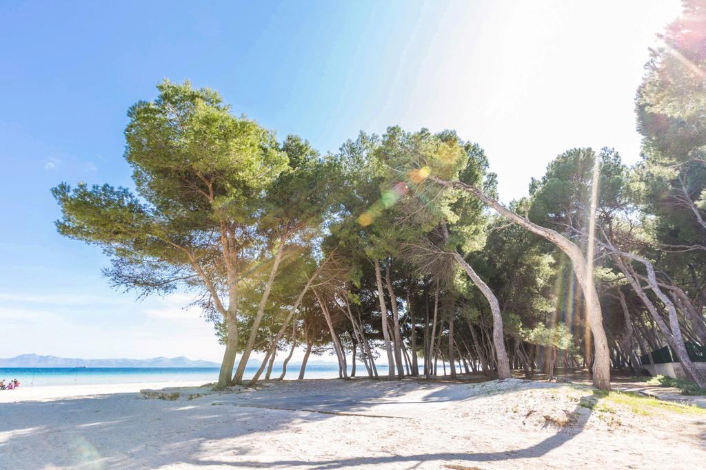 Pinya Villa Port de Alcudia  Kültér fotó